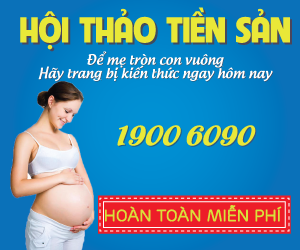 300x250 01